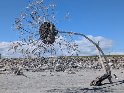 Hokitika: Hokitika Driftwood Art