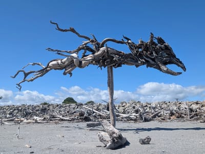 Hokitika: Hokitika Driftwood Art