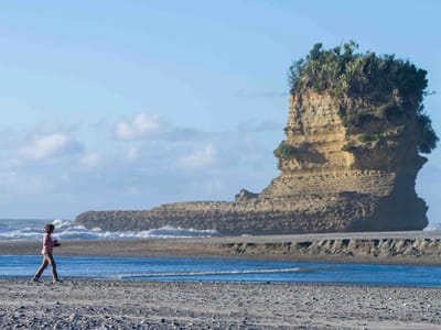 Pancake Rocks and Punakaiki Beach: Punakaiki Beach Sea Stack