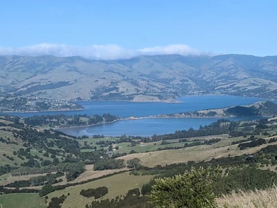 Akaroa: Along the drive to Akaroa