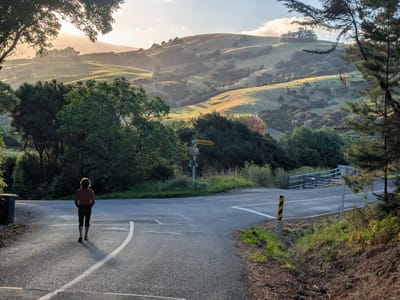 Akaroa: The walk to town