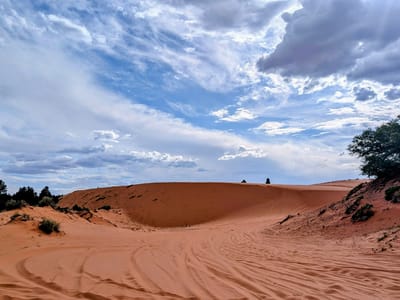 Coral Pink Sand Dunes: Coral Pink Sand Dunes