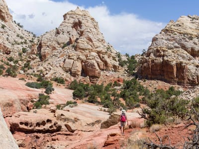 Capitol Reef National Park: Along the Navajo Knobs Trail