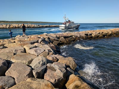 Edgartown: Menemsha Jetty