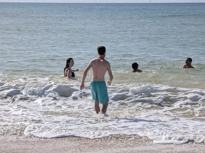Edgartown: South Beach Fun