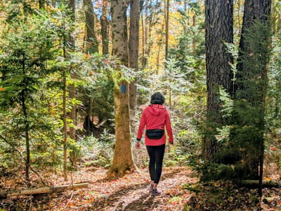 Vermont (and the Berkshires): Setting off on the Mt. Olga Trail