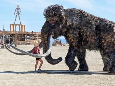 Our Burning Man Experience: In the Embrace of the Woolly Mammoth