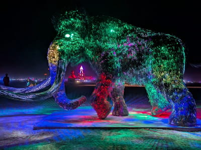 Our Burning Man Experience: \"Reborn\" after dark