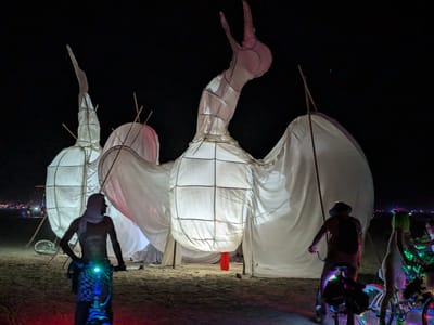 Our Burning Man Experience: Nested Heart