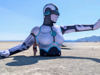Our Burning Man Experience: Humanoid?