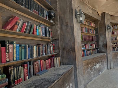 Our Burning Man Experience: Bookshelves of the Moonlight Library