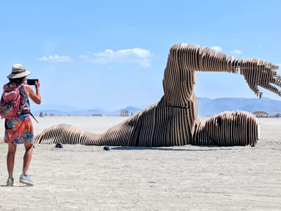 Our Burning Man Experience: Merman