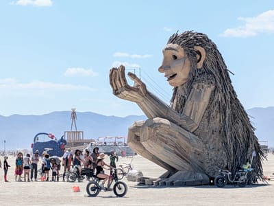 Our Burning Man Experience: Rose Wonders
