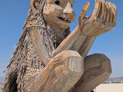 Our Burning Man Experience: Rose Wonders
