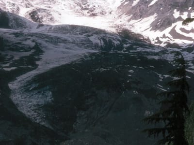 Mount Rainier National Park: Nisqually Glacier