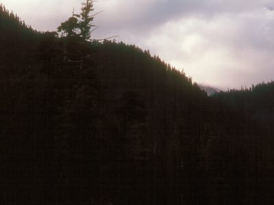 Mount Rainier National Park: Mount Rainer disappearing in the clouds