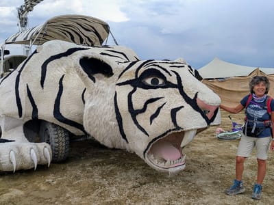 So, What is Burning Man: Camp Bajie's Lair White Tiger