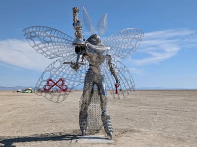 So, What is Burning Man: Moth