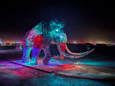 Our Burning Man Experience: NIght on the Playa