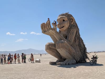 So, What is Burning Man: Rose Wonders