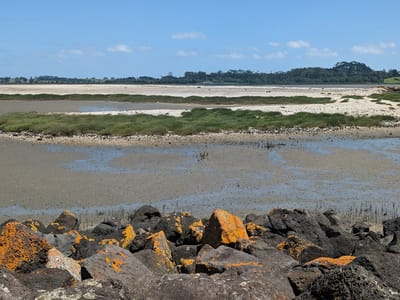 Auckland Airport Hotel: Magere Lagoon Path,