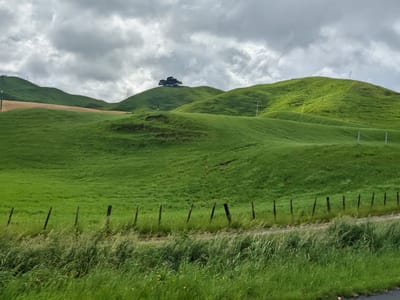 Van Pickup and Rotorua Thermal Holiday Park: Scenery along the way