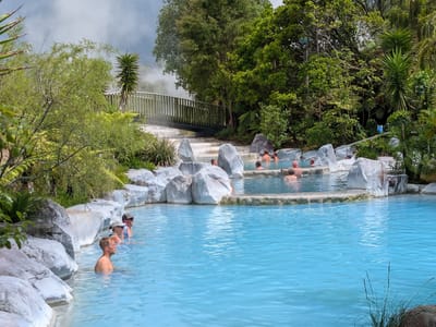 Taupo Volcanic Zone - Wairakei Thermal Valley: Wairakei Thermal Pools