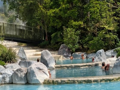 Taupo Volcanic Zone - Wairakei Thermal Valley: The hotter pools