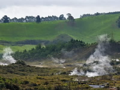 Taupo Volcanic Zone - Wairakei Thermal Valley: Craters of the Moon