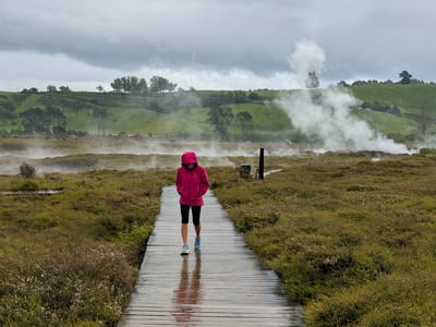 Taupo Volcanic Zone - Wairakei Thermal Valley: Craters of the Moon