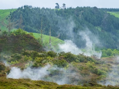 Taupo Volcanic Zone - Wairakei Thermal Valley: Craters of the Moon