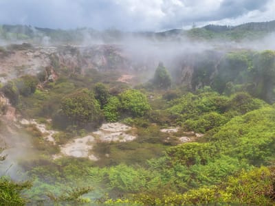 Taupo Volcanic Zone - Wairakei Thermal Valley: Craters of the Moon
