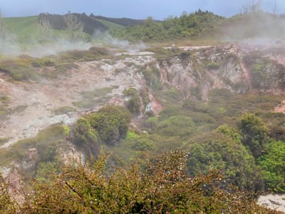 Taupo Volcanic Zone - Wairakei Thermal Valley: Craters of the Moon