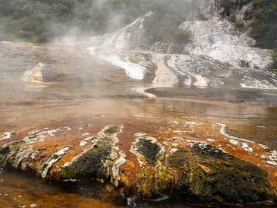 Orakei Korako: Orakei Korako