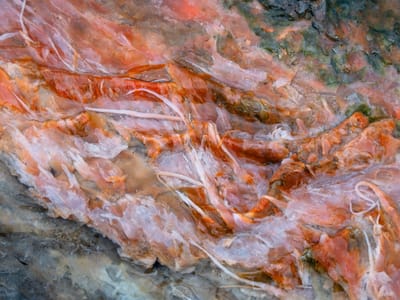 Orakei Korako: Orakei Korato