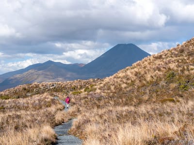 Tongariro National Park: Through the Red Tussock