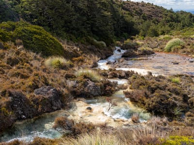 Tongariro National Park: Silica Rapids