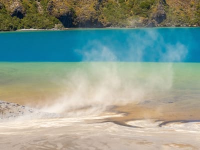 Tongariro National Park: Closeup of Willy-Willies