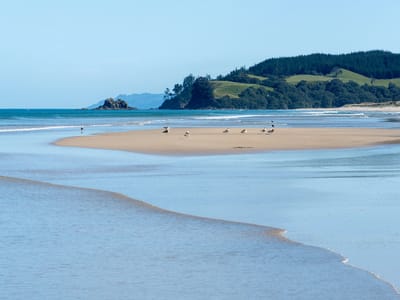 Opoutere Beach: Ohui Inlet