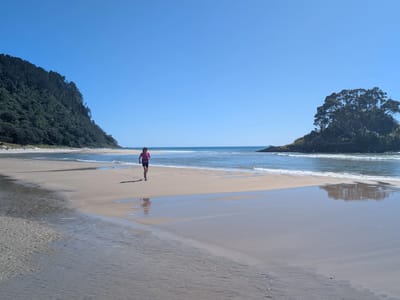 Opoutere Beach: Morning run to Ohui Inlet