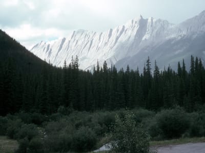 Jasper National Park: Jasper Rockies