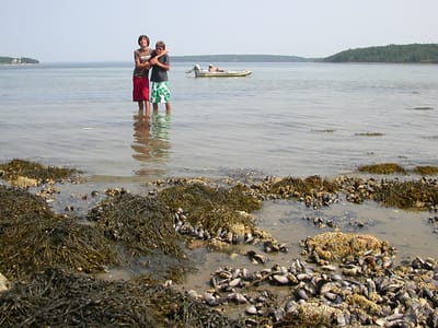 Acadia National Park: Brotherly love during Western Bay boat trip