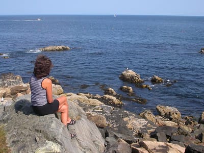 Acadia National Park: Lolo on rocks