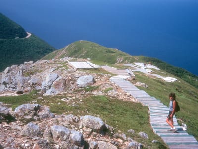 Cape Breton Highlands National Park / Cabot Trail: Lolo at Skyline Trail Overlook