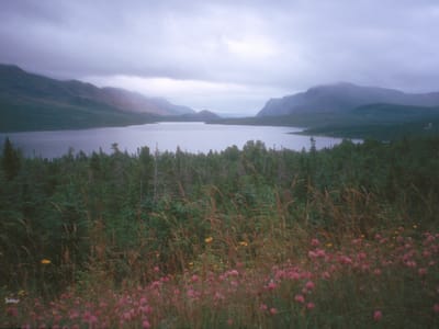 Gros Morne National Park (Trout River): Trout River Pond