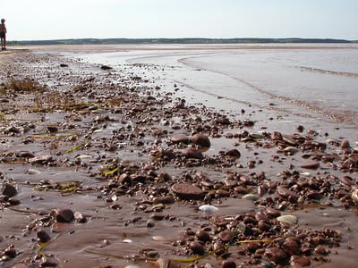 Robinsons Island National Park: Rustico Bay Beach