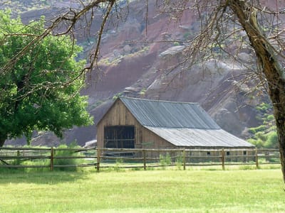 Capitol Reef National Park: Gifford Farmhouse Barn