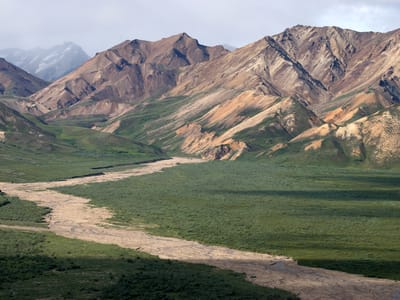 Denali National Park: Denali tour mountains