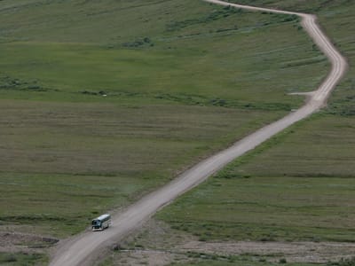 Denali National Park: Tour bus in Denali