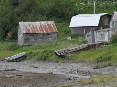 Ninilchik: Ninilchik creek?